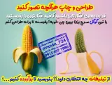 برندینگ نوین