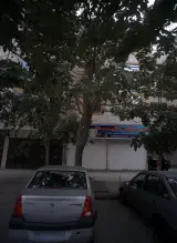 مانتوسرای دلینا