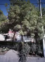 سنگ نگین نی ریز