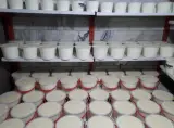 لبنیات سنتی دهاتی(عابدینی)