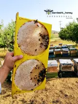 عسل فروشی سردشت اوژول
