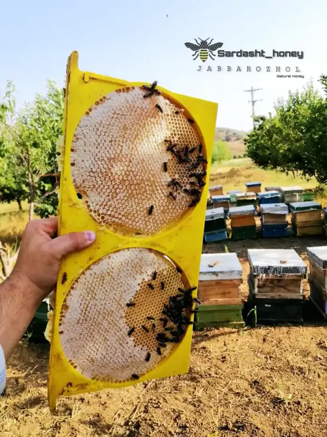 عسل فروشی سردشت اوژول