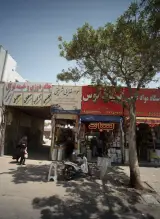 لبنیات توس