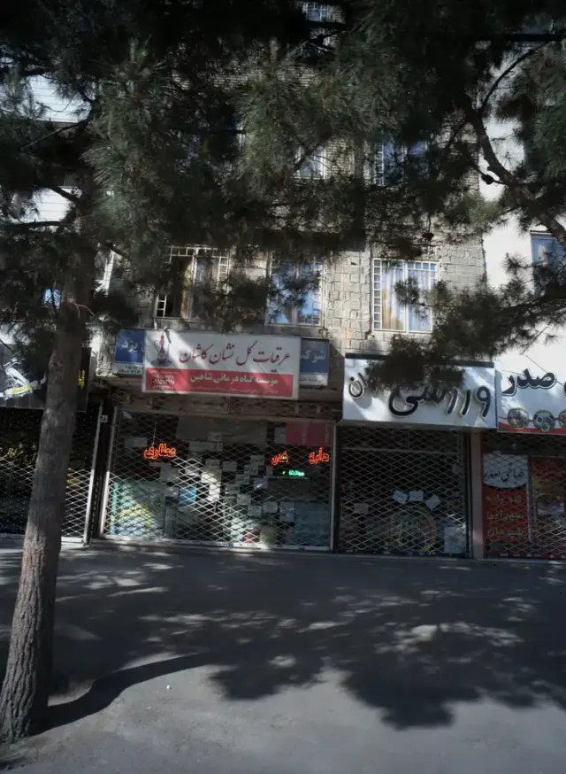 موسه گیاه درمانی شاهین