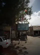 گیاهان دارویی دشت گلها