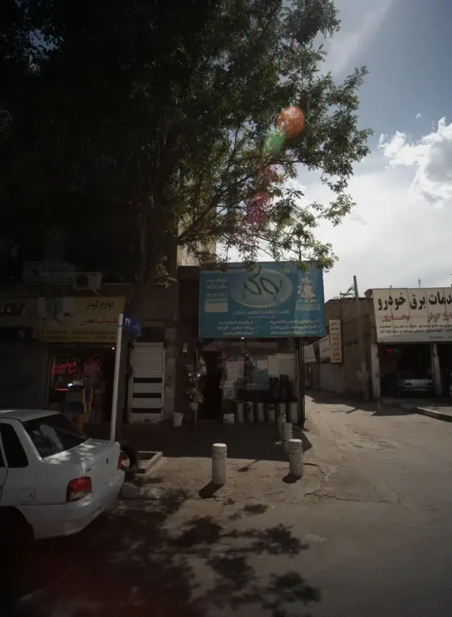 گیاهان دارویی دشت گلها