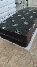 تشک زیگموند