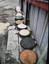مصالح نماشسته نیک نام