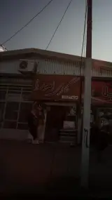 گالری اهورا