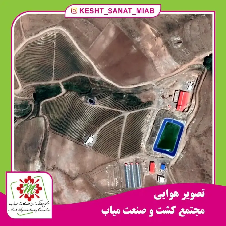 مجتمع کشت و صنعت گیاهان دارویی میاب
