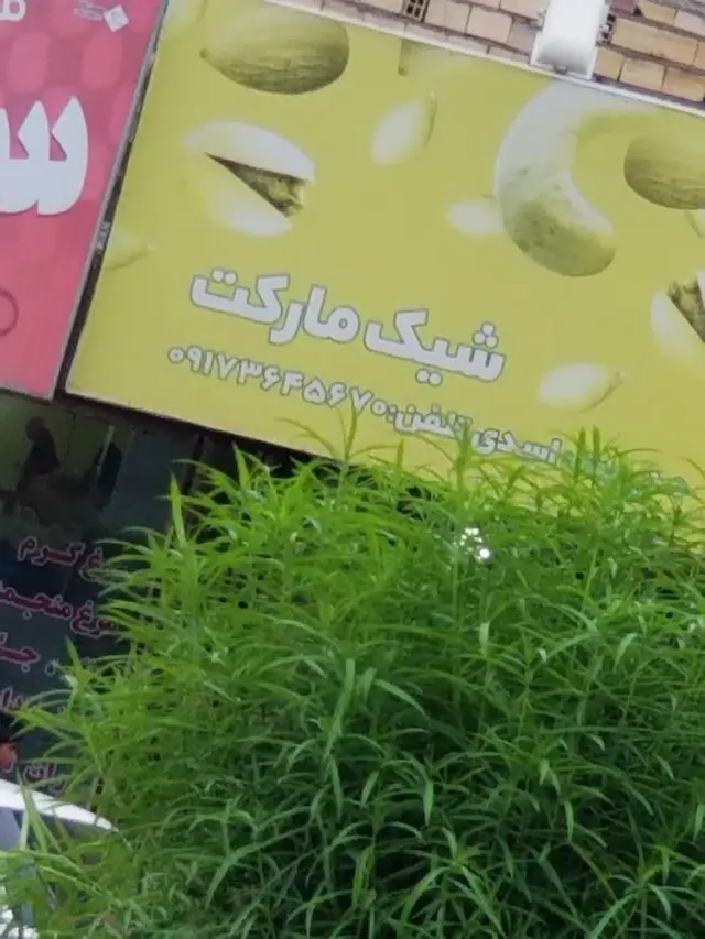 سوپرمارکت اسدی