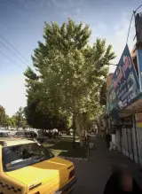 رینگ و لاستیک منصف