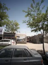 چوب بری و چوب فروشی فروردین