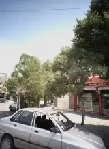 لبنیات کلات