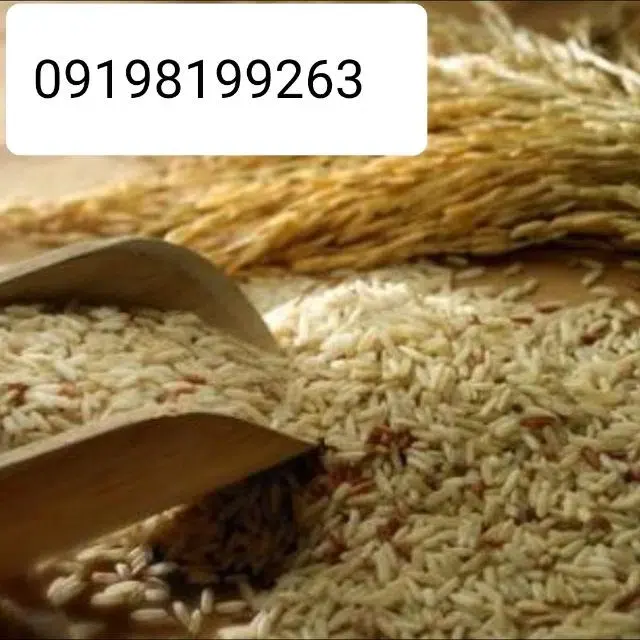 فروشگاه برنج