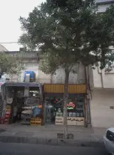 رنگ سجادی نیا