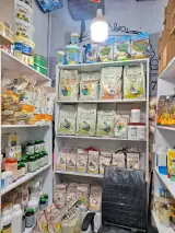 پت شاپ تهران طوطی