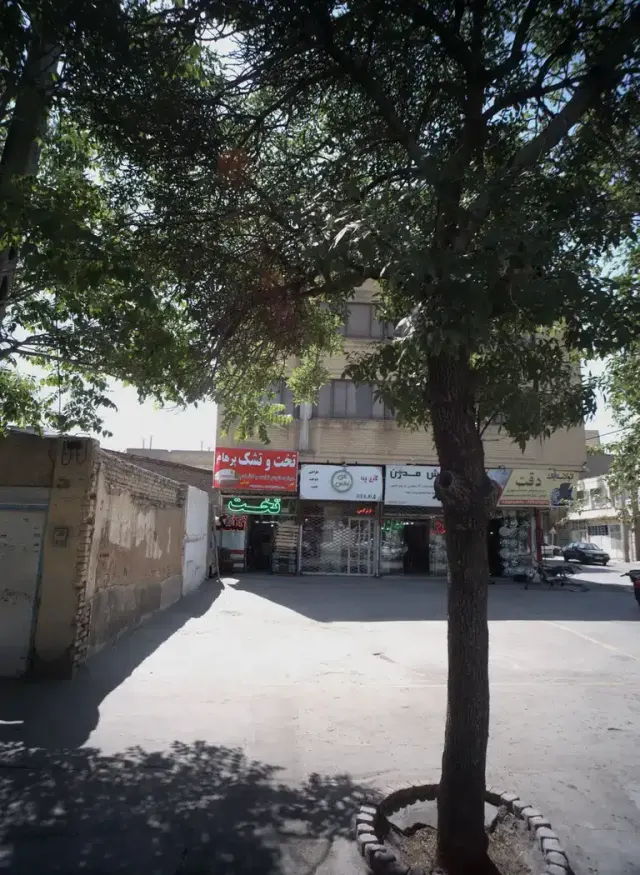 گالری پرده گل نرگس