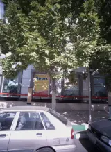 پوشاک آقایان اسپورت