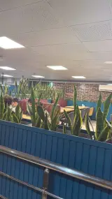 کافه فست فود دورهمی