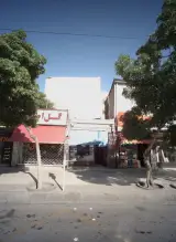 پروتئین ماهان