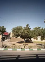 ایزوگام نقره ای شرق
