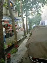 تیموری
