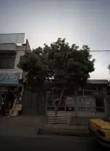 پوشاک زنان و بچه گانه