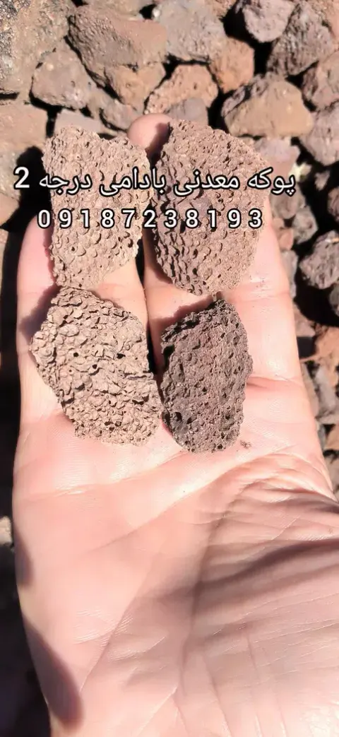 پوکه معدنی خداویسی شعبه کیش