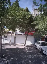 موبایل و تبلت مسلم