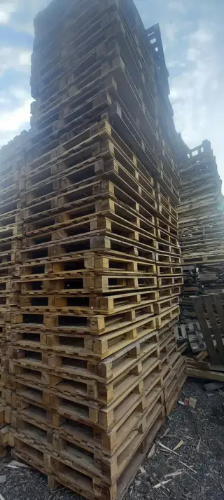 چوب وپالت