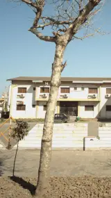 باشگاه بدنسازی -اندام سازان