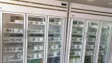 لبنیات سنتی صبح امروز