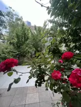 موسسه زبان شایگان