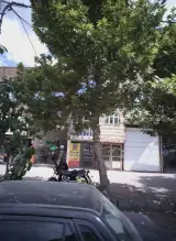 بیمه ایران