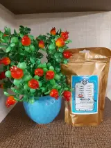 فروشگاه سویق پروانه