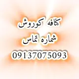 کنافه کوروش