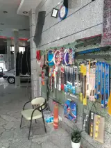 نمایندگی دزدگیر سیلورین