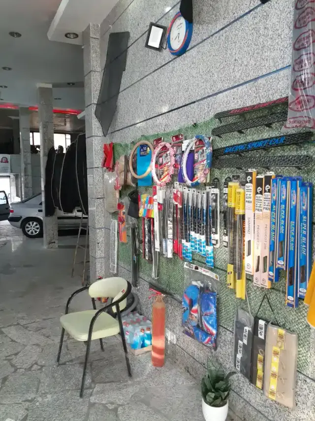 نمایندگی دزدگیر سیلورین