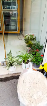 لبنیات محله زرگر