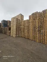 پالت گون آی