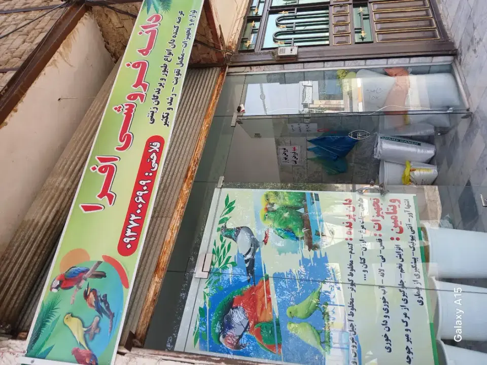 دانه فروشی افرا