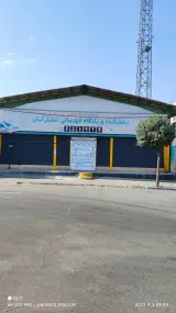 باشگاه ورزشی ستارگان