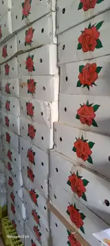 عطاری پخش عمده و جزئی گیاهان دارویی