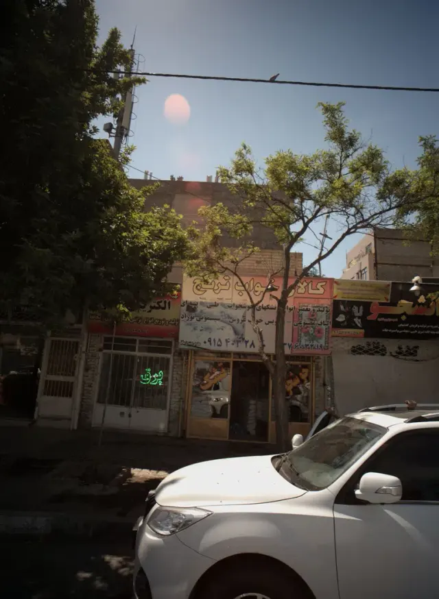 کالای خواب ترنج