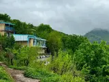 اقامتگاه اکولوژ ساسنگ