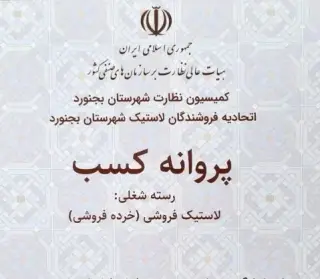 رینگ و لاستیک میراگر