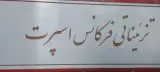 تزیینات خودرو فرکانس اسپورت