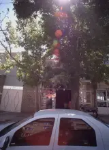 اتو لاستیک هدایت