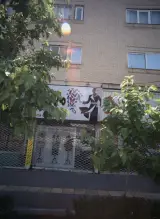 مانتو شانا